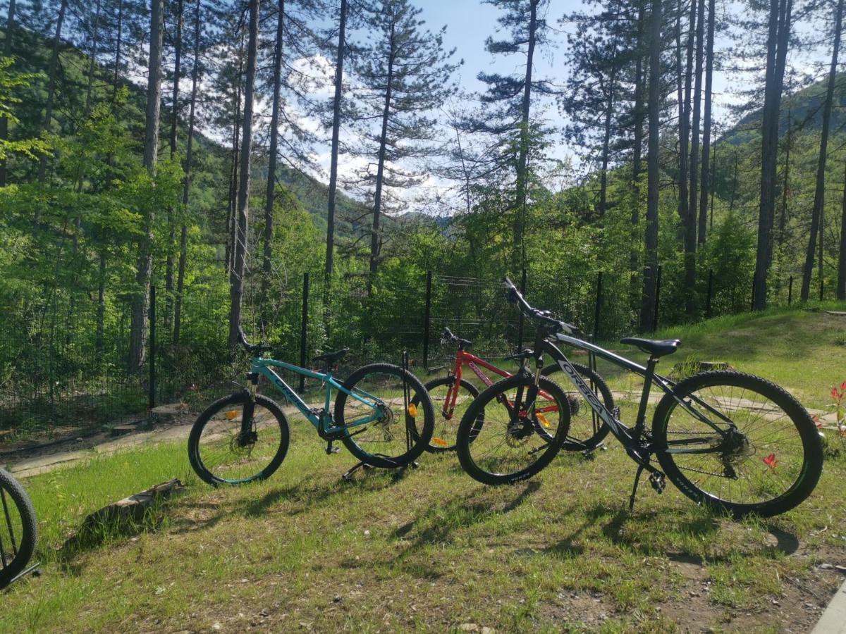 Арборетум Вила & Ресторант Teteven Kültér fotó